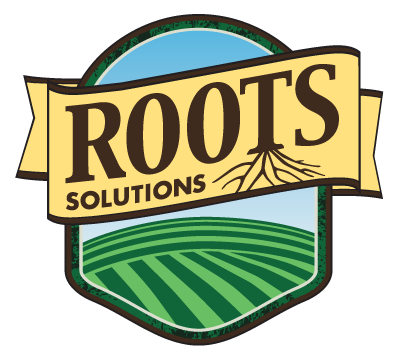 ROOTS Solutions